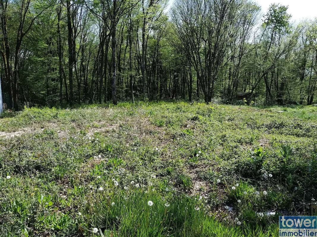 Terrain à PRANZAC