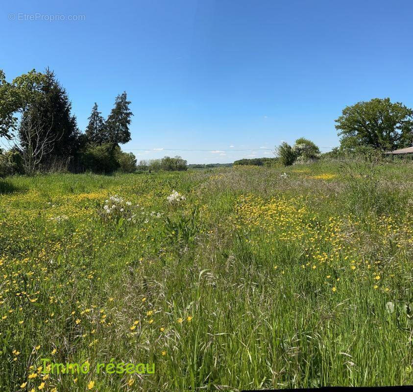 Terrain à LA FERTE-GAUCHER