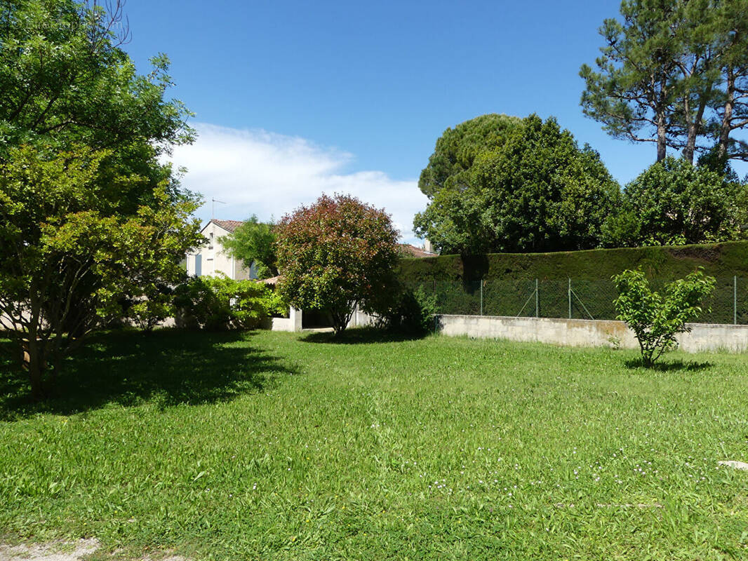 Terrain à ENTRAIGUES-SUR-LA-SORGUE