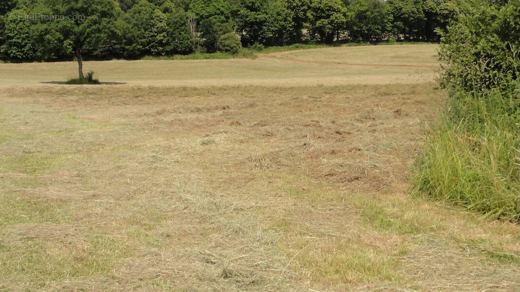Terrain à INGUINIEL