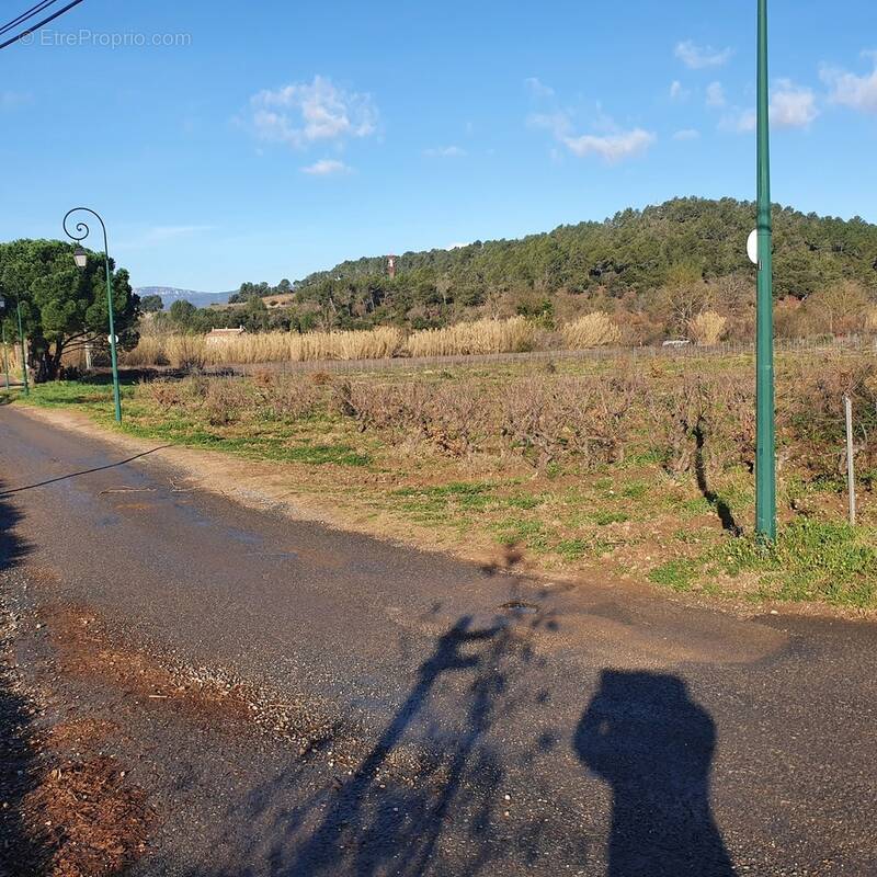Terrain à PIERREFEU-DU-VAR