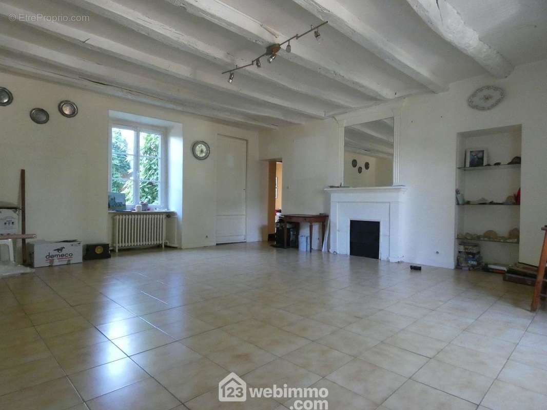 Elle distribue d&#039;un côté, une salle à manger traversante de 29 m2, avec cheminée, - Maison à ARCHIGNY