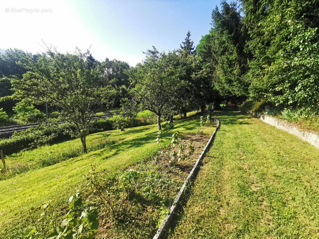 Terrain à ARGONAY