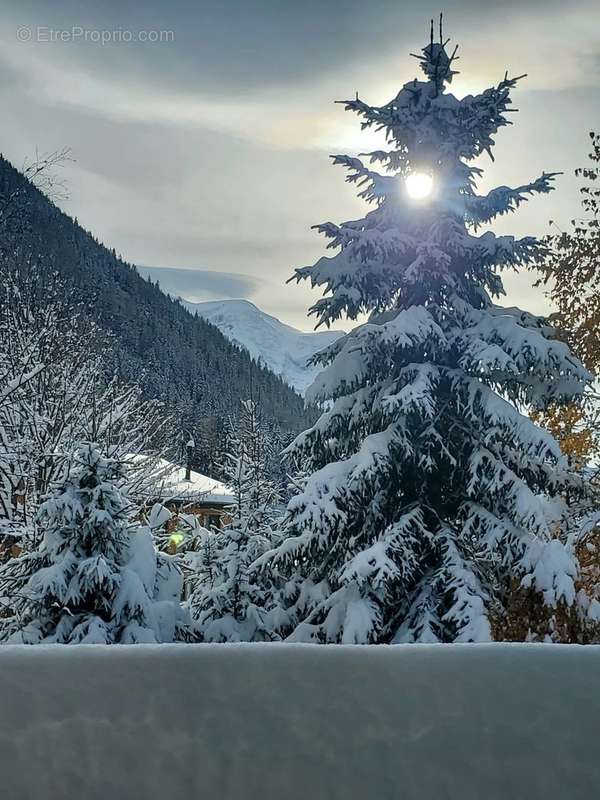 Maison à CHAMONIX-MONT-BLANC