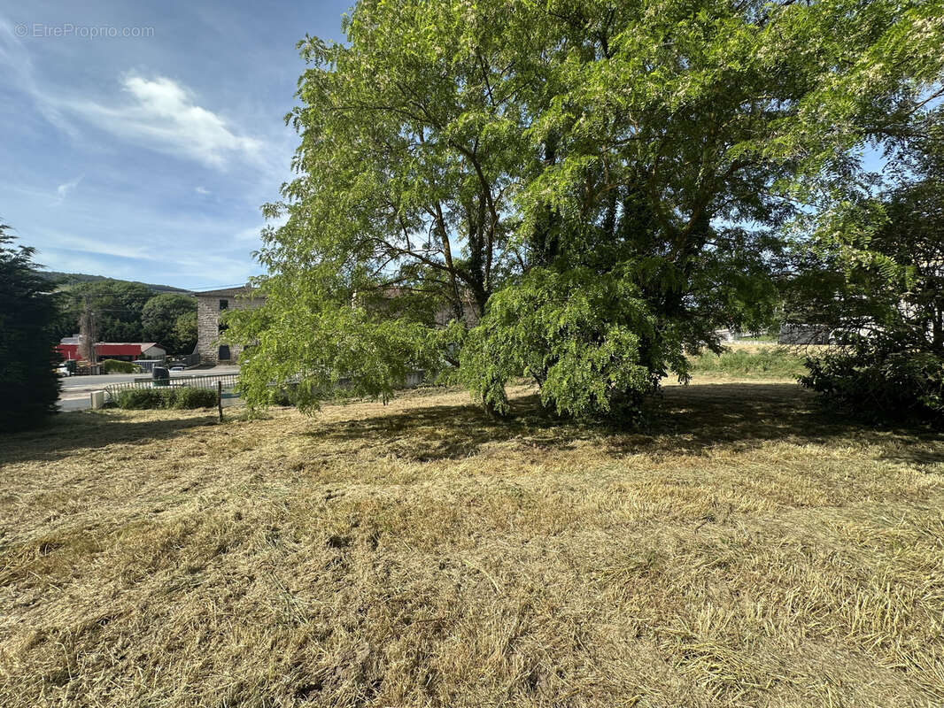 Terrain à THURINS