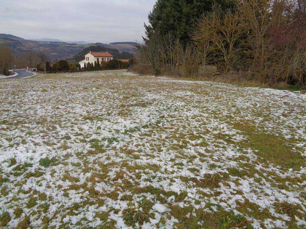 Terrain à SANSSAC-L&#039;EGLISE