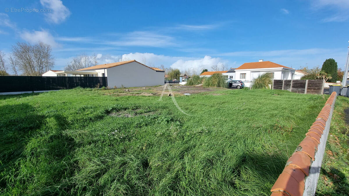 Terrain à LE PERRIER