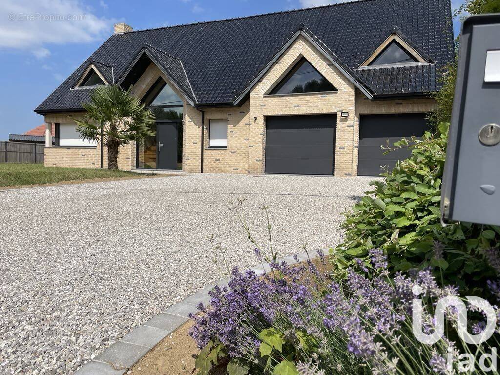 Photo 1 - Maison à CAESTRE