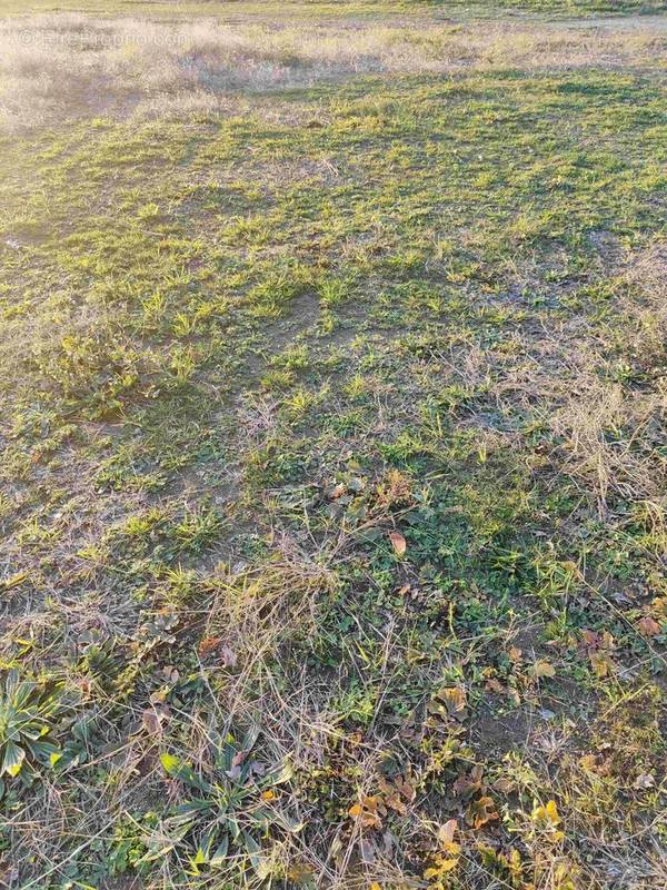 Terrain à LE BIGNON