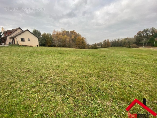 Terrain à JUILLAC