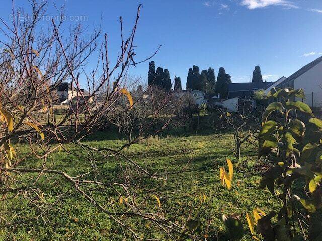 Terrain à CHEMILLE-SUR-DEME