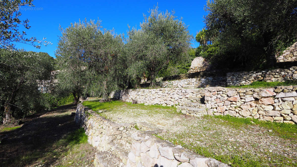 Terrain à EZE