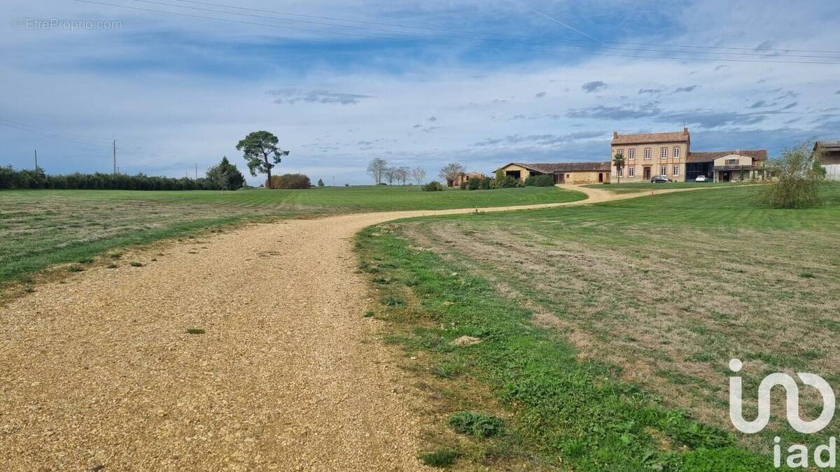 Photo 1 - Maison à FRONTON