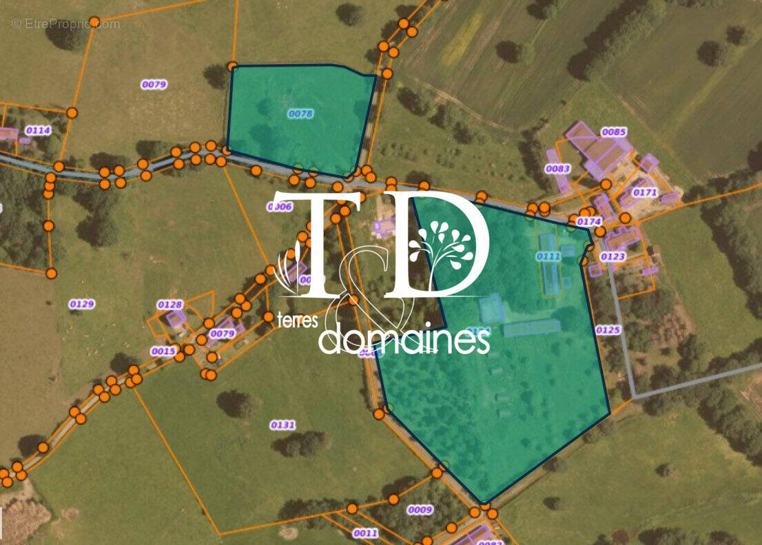 Terrain à VICQ-EXEMPLET