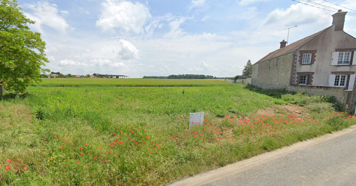 Terrain à SOUPPES-SUR-LOING