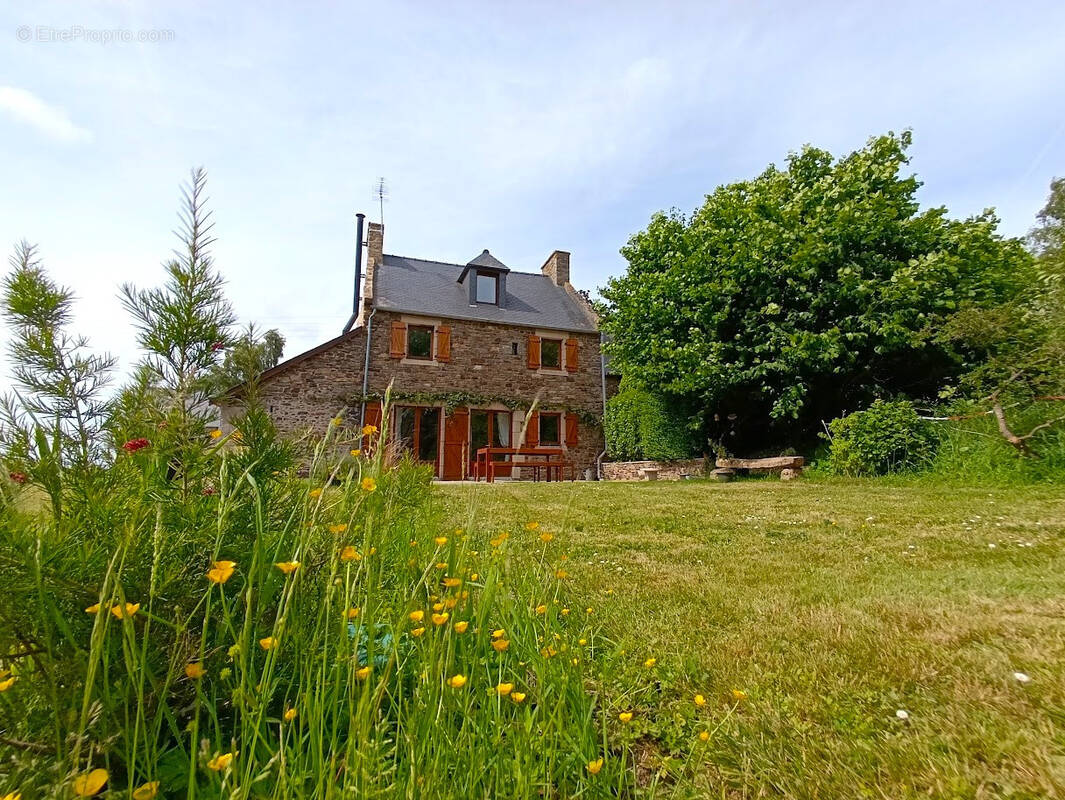 Maison à CREHEN