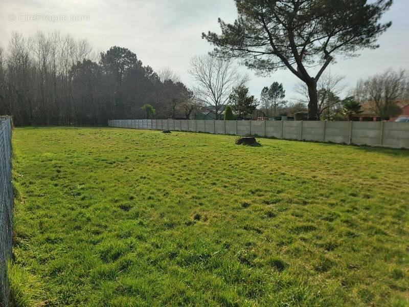 Terrain à LESPARRE-MEDOC