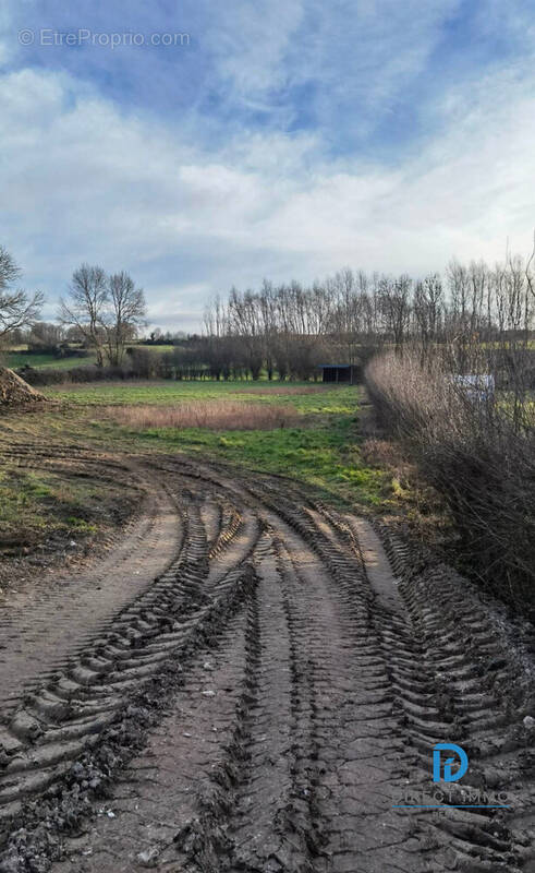 Terrain à LIERES