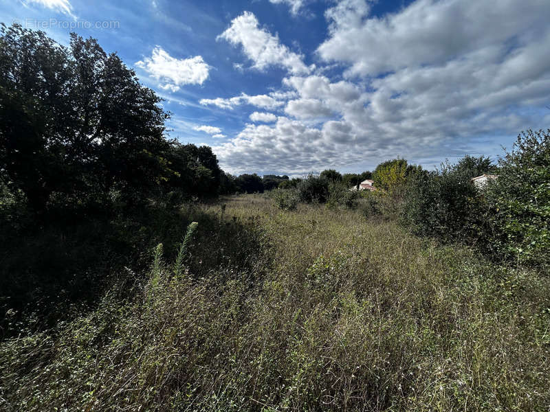 Terrain à GRIGNAN