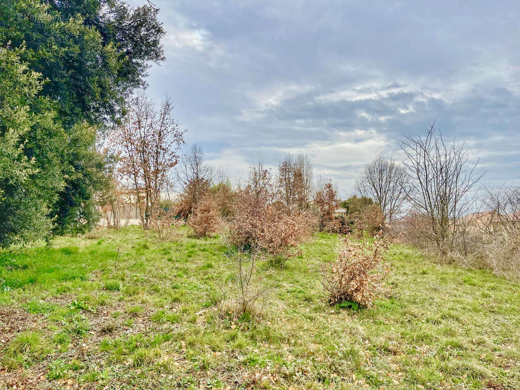 Terrain à GAILLAC