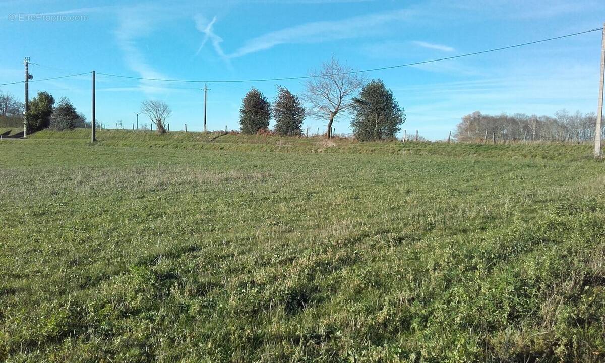 Terrain à CASTANET