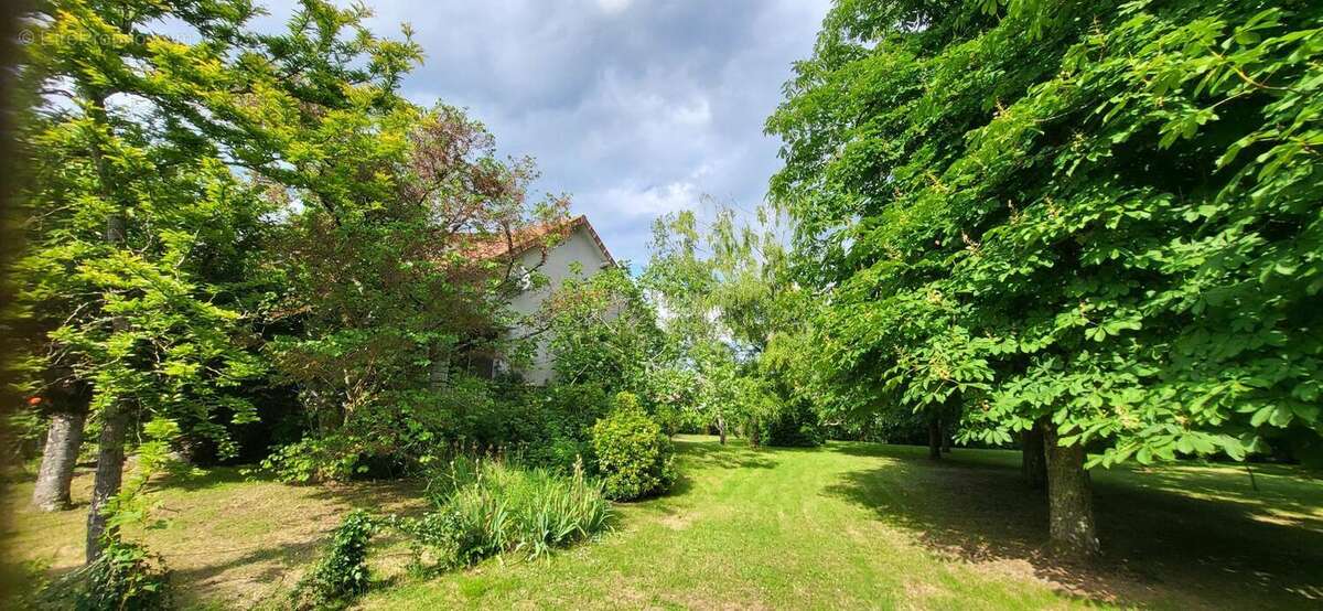 Photo 6 - Maison à CHATELLERAULT