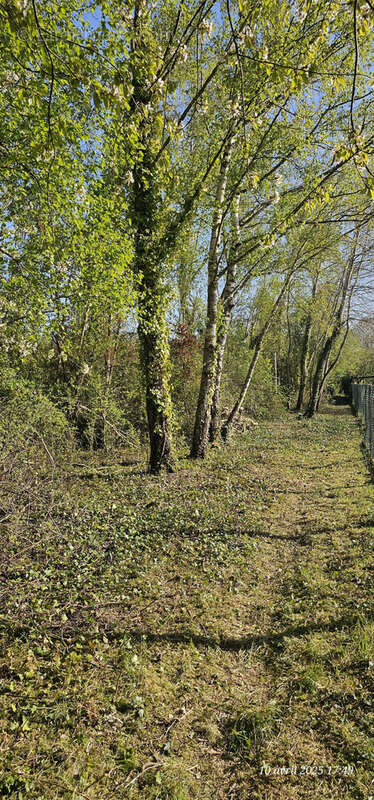 Terrain à EGREVILLE