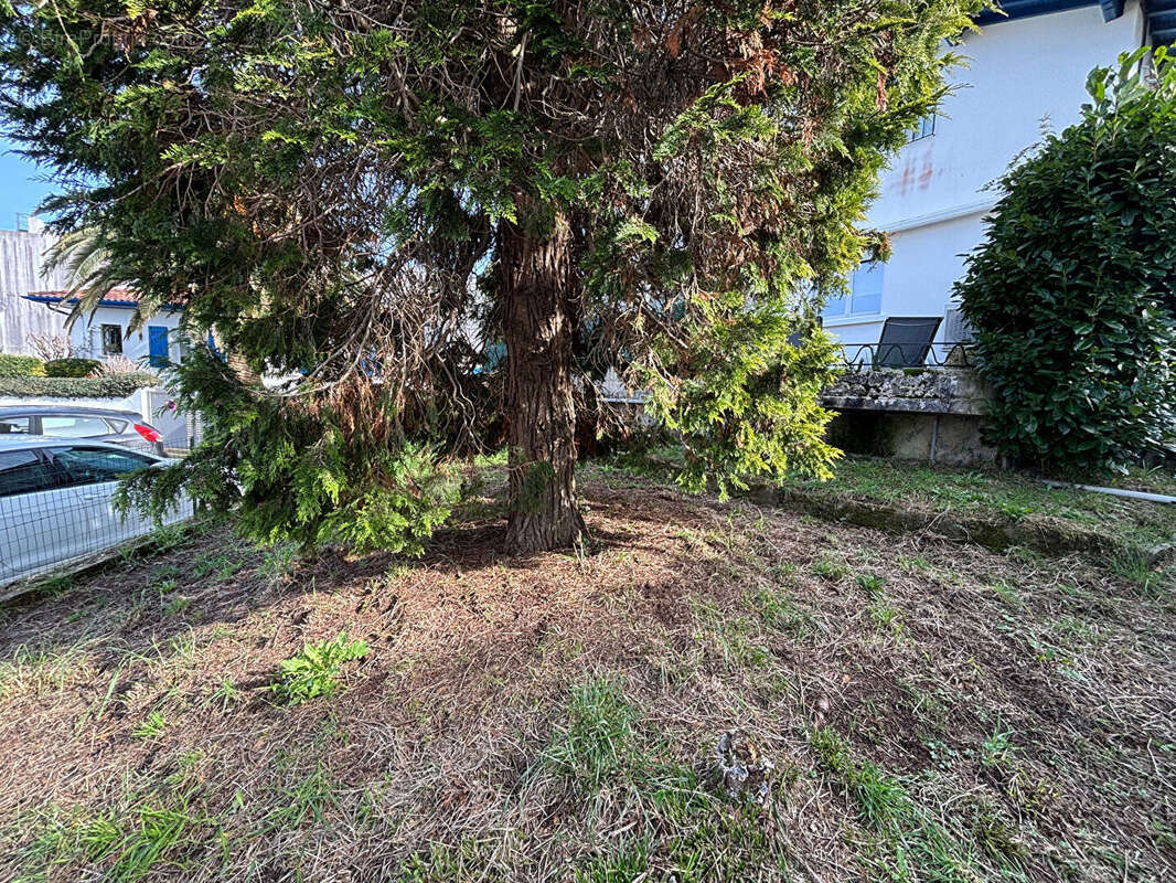 Appartement à HENDAYE