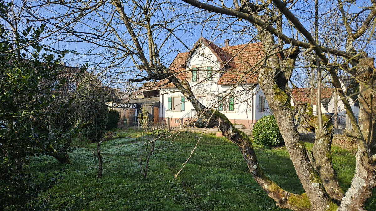 Maison à DRUSENHEIM