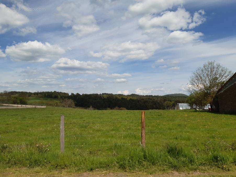 Terrain à VOREY