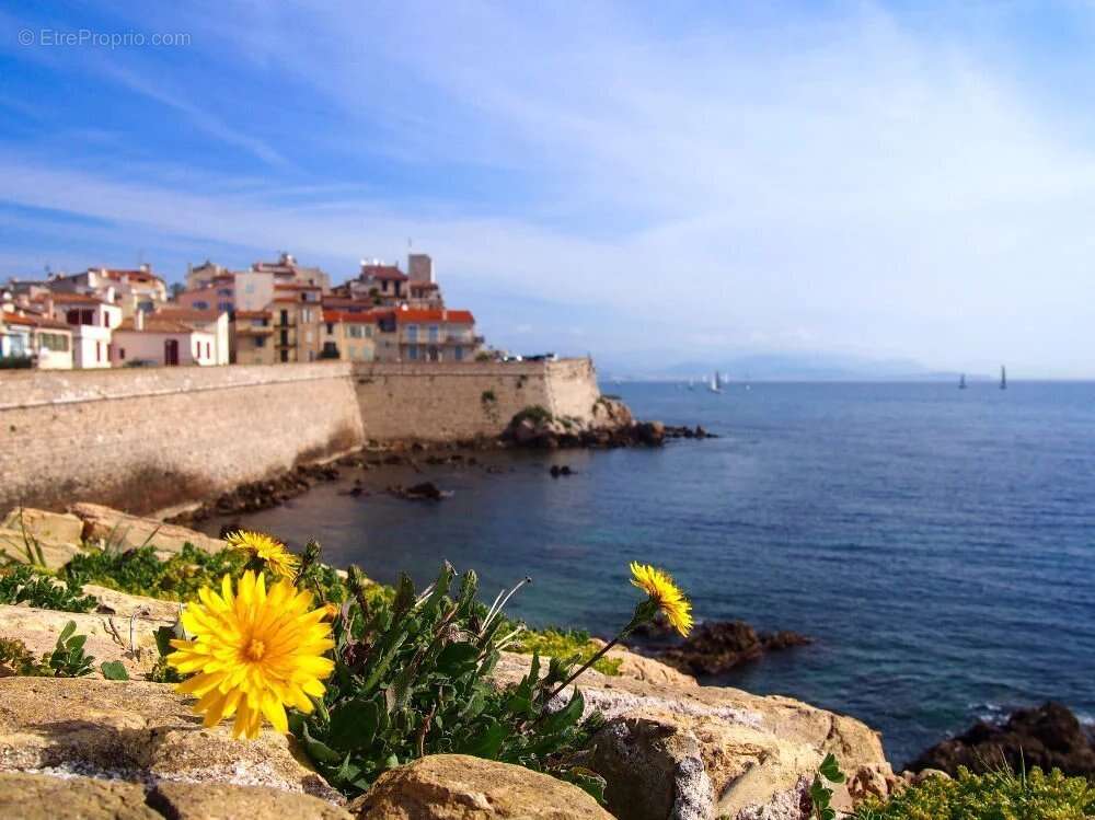Commerce à ANTIBES