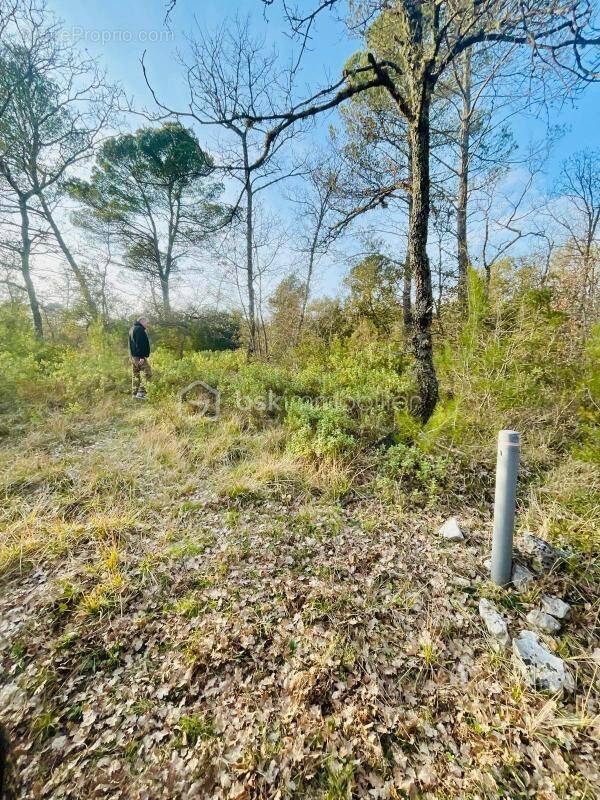 Terrain à NANS-LES-PINS