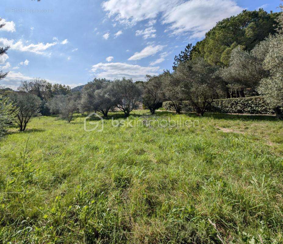 Terrain à CLERMONT-L&#039;HERAULT