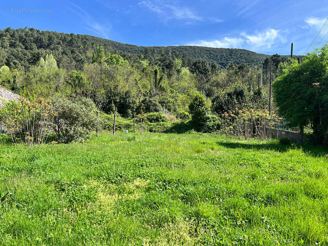 Terrain à SAINT-FLORENT-SUR-AUZONNET