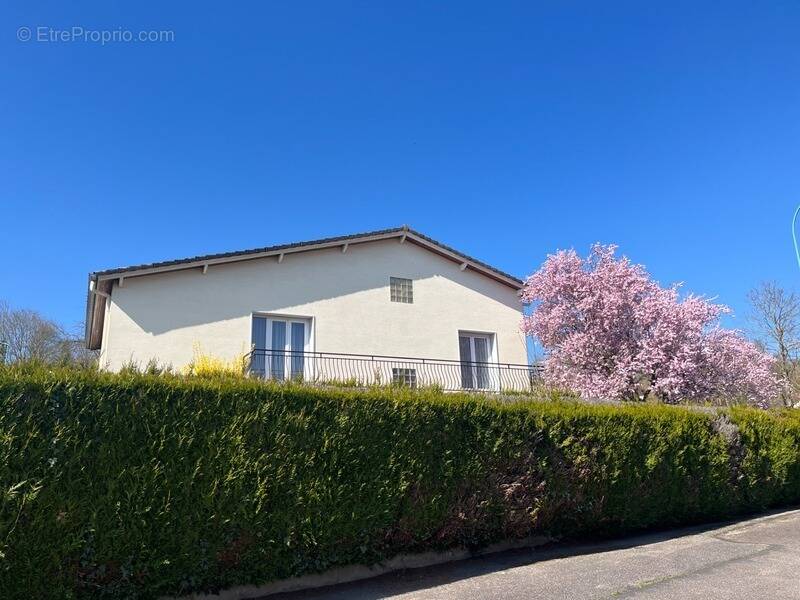 Maison à LUNEVILLE