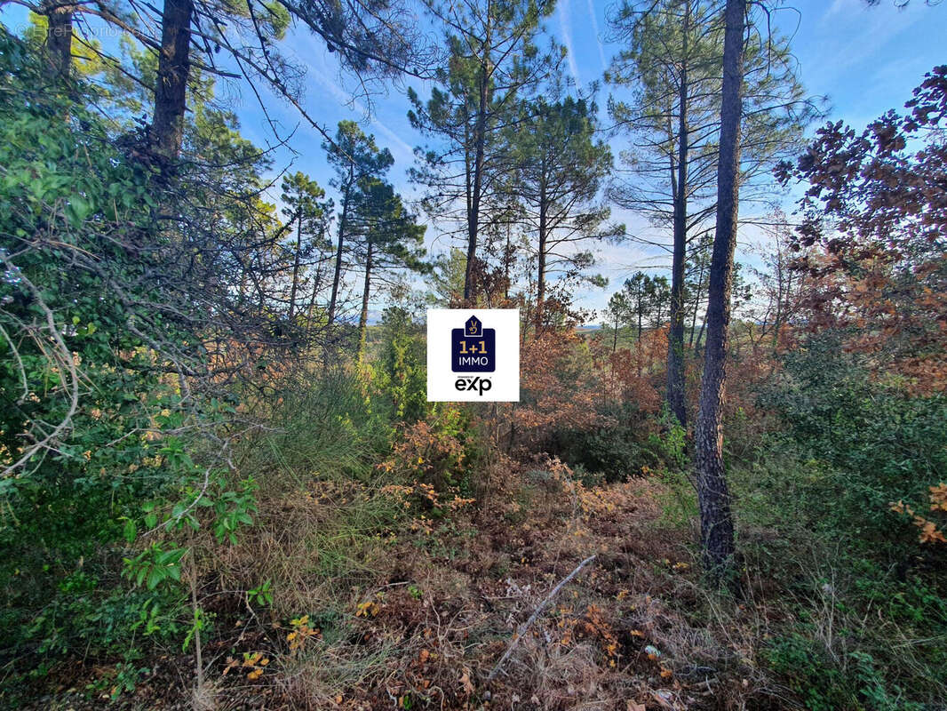 Terrain à SAINT-PAUL-EN-FORET