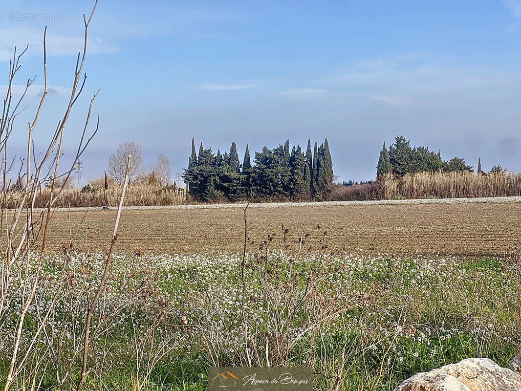 Terrain à SAINT-HIPPOLYTE