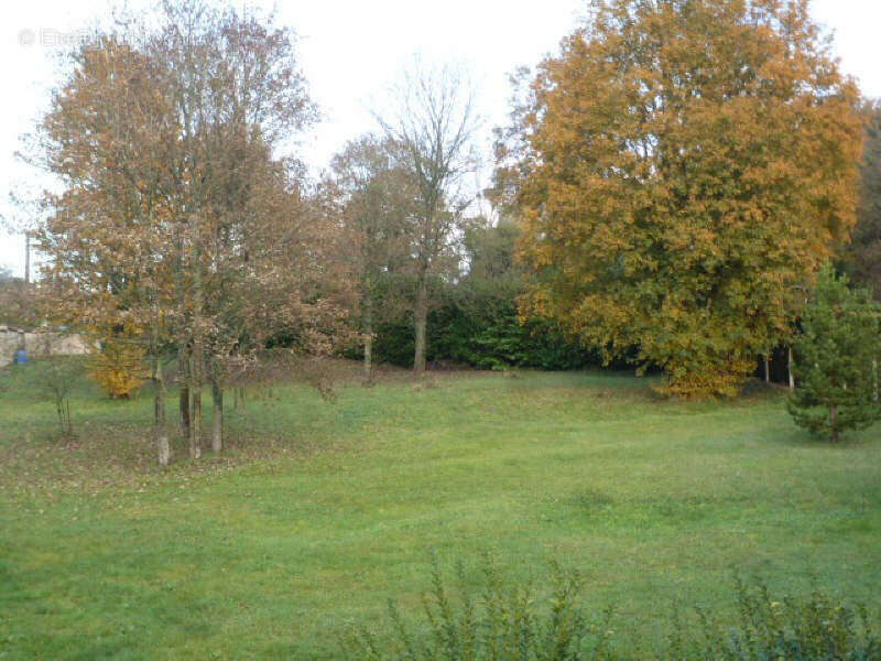 Photo 3 - Terrain à VILLENEUVE-SUR-BELLOT