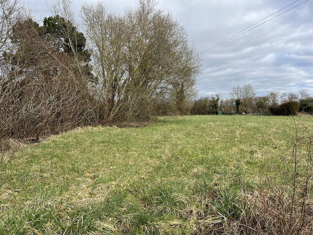 Terrain à VERTON