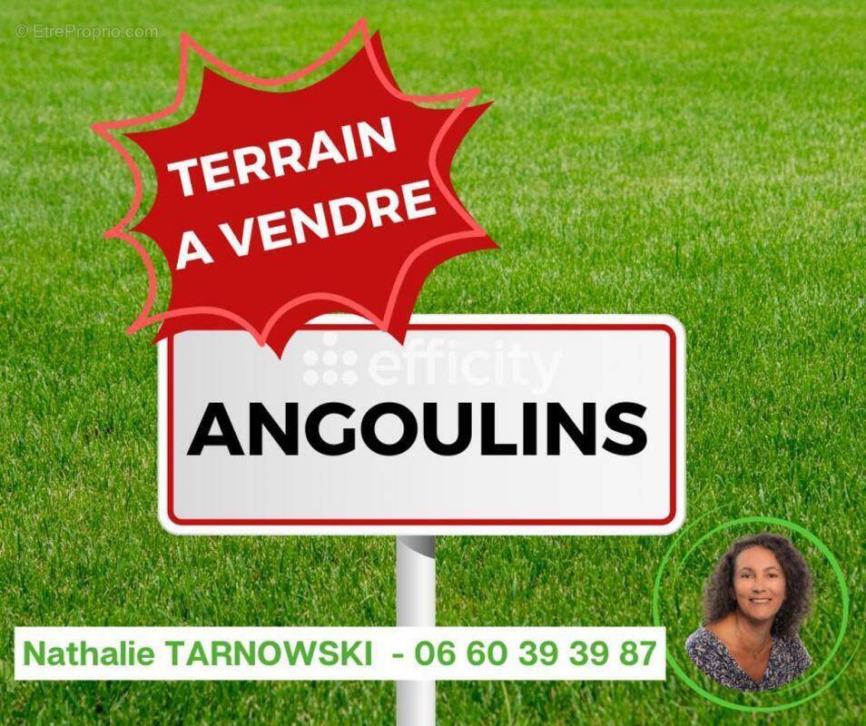 Terrain à ANGOULINS