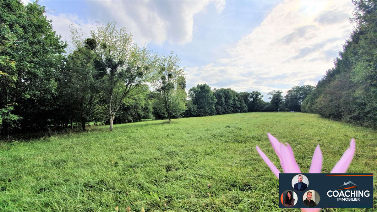 Terrain à SAINT-REMY-EN-BOUZEMONT-SAINT-GENEST-ET-ISSON