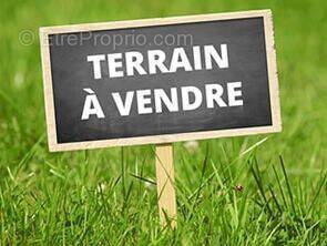 Terrain à SALLES-SUR-MER