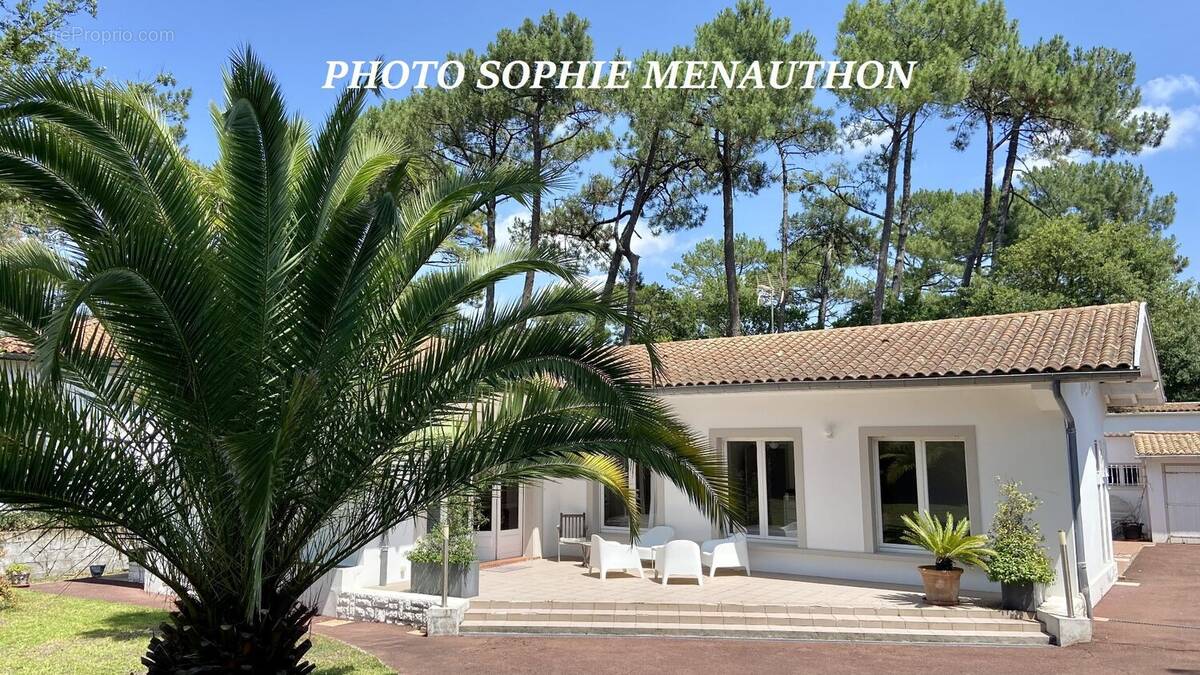Maison à SEIGNOSSE