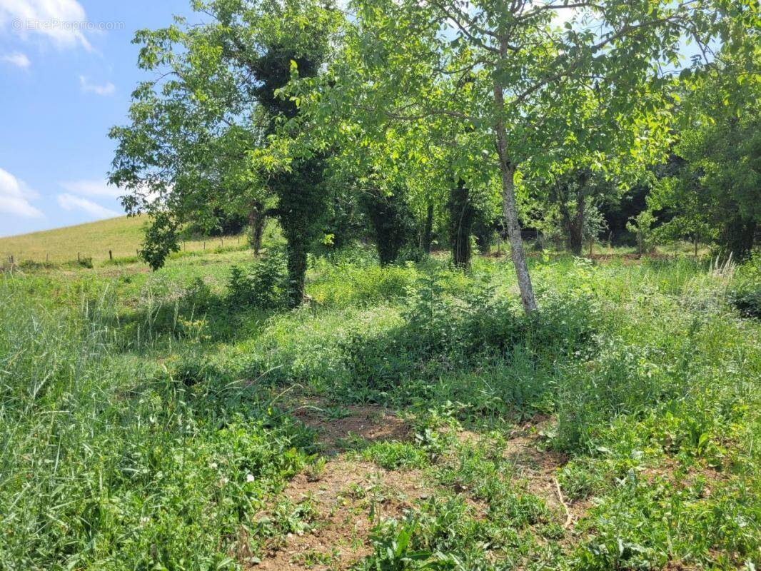 Terrain à SAINT-GEORGES-SUR-ALLIER
