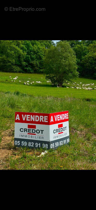 Terrain à SERRES-CASTET
