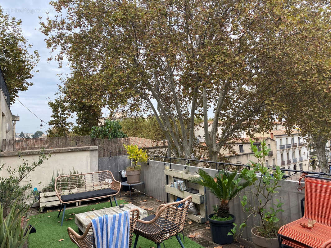 Photo 3 - Appartement à MONTPELLIER
