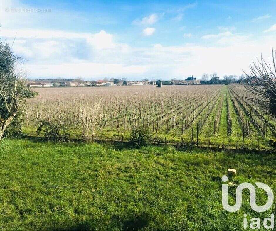 Photo 6 - Maison à PESSAC