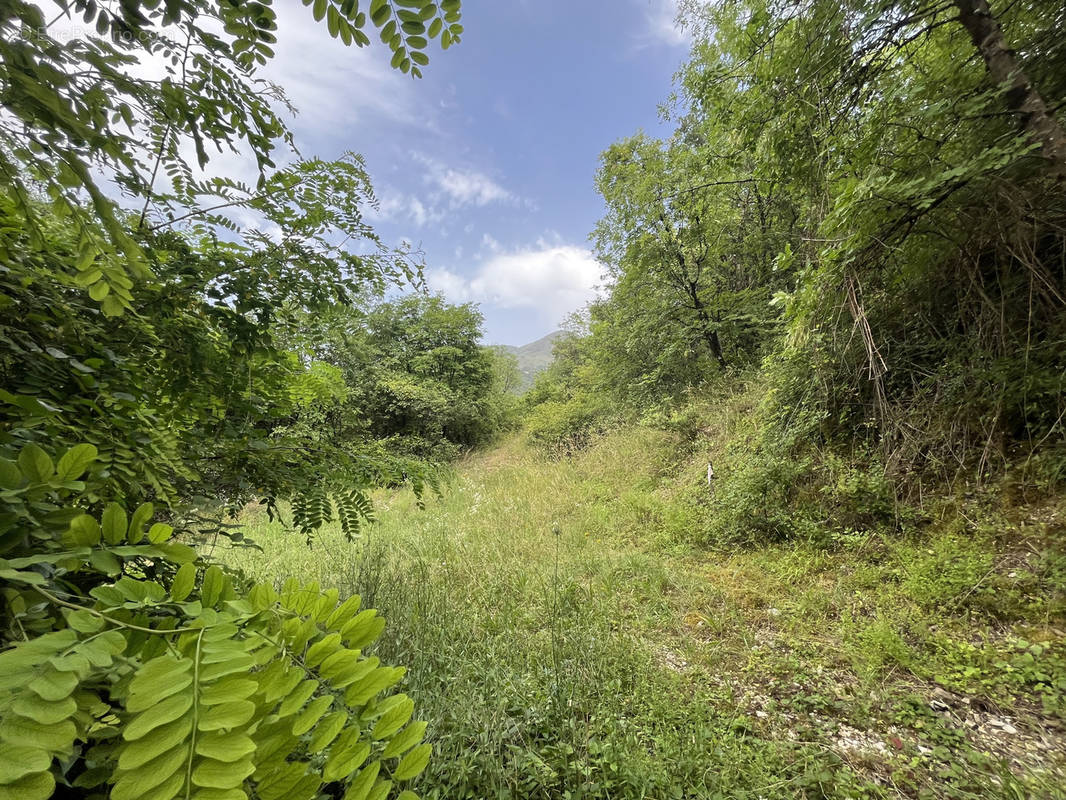 Terrain à SUMENE