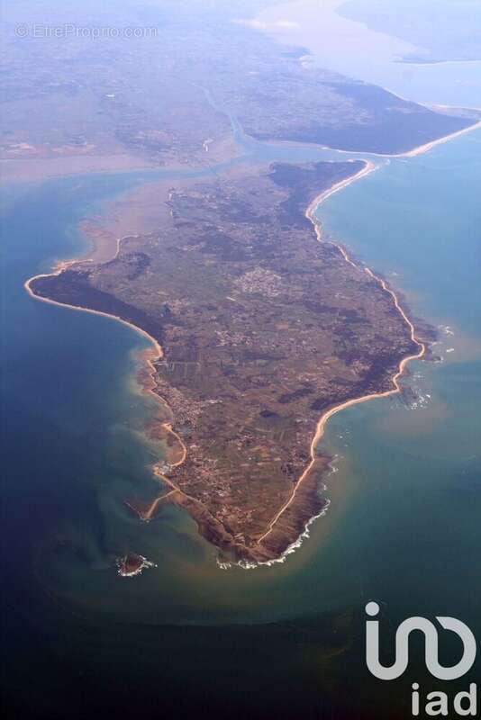 Photo 4 - Maison à SAINT-PIERRE-D&#039;OLERON
