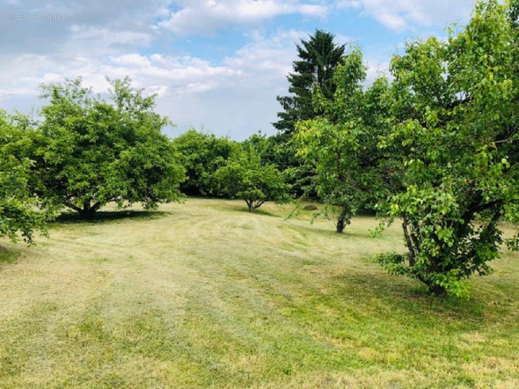 Terrain à LASSIGNY